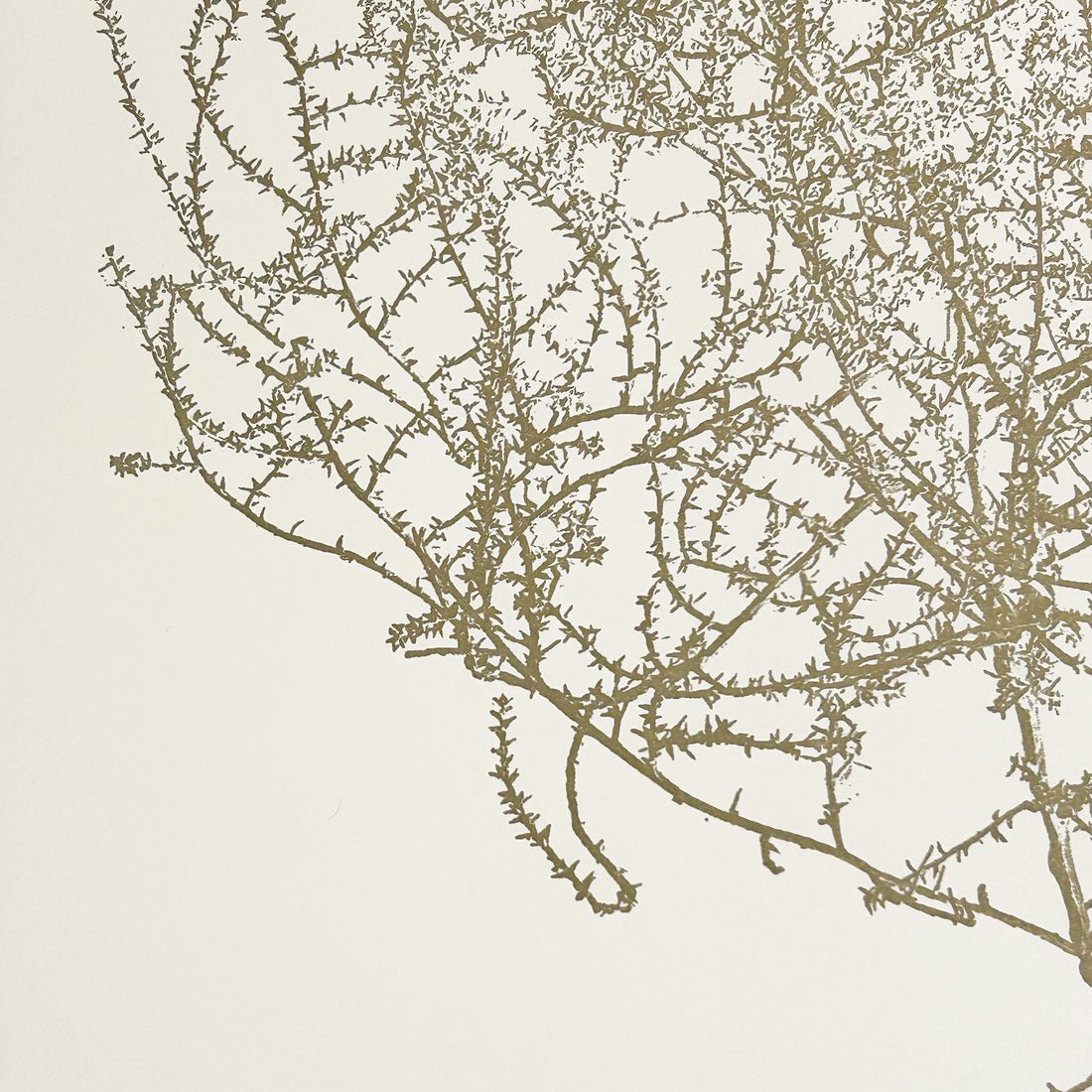Tumbleweed Print