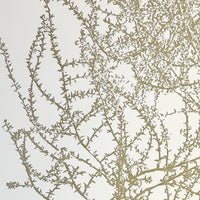 Tumbleweed Print