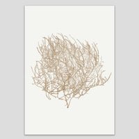 Tumbleweed Print